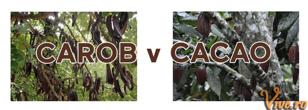 carob v cacao